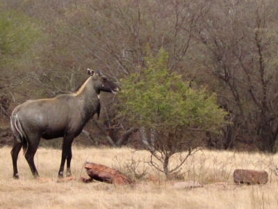 2011-periyar-18