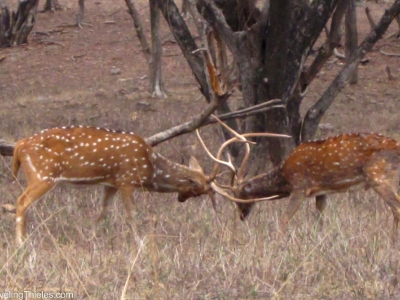 2011-periyar-19