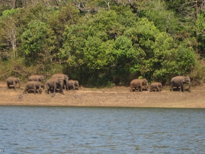 2011-periyar-4